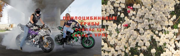 гидропоника Аркадак